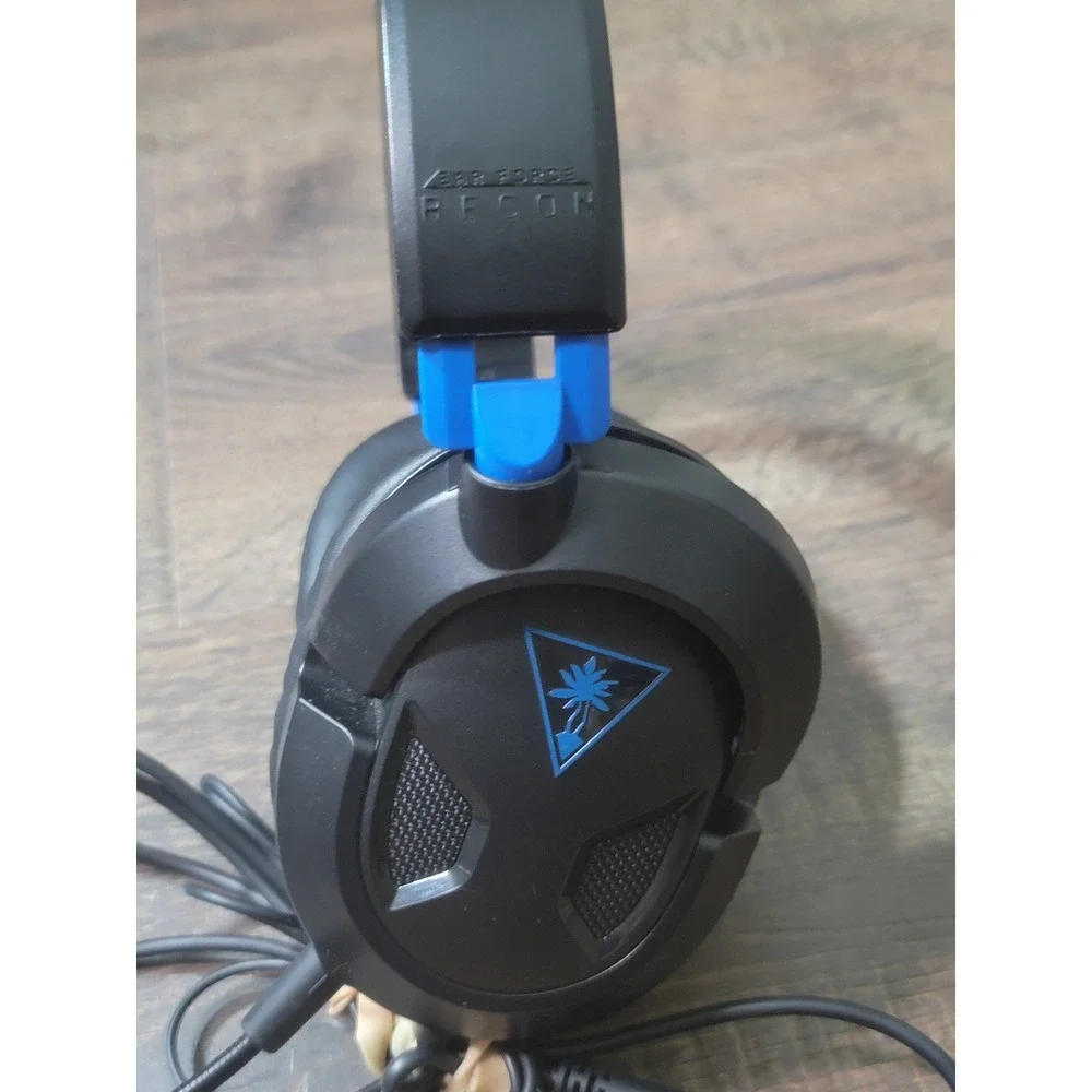 Turtle Beach turtle beach